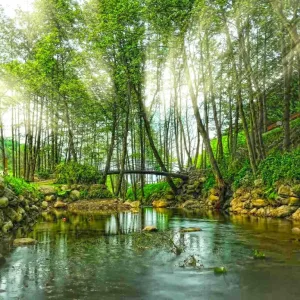 Daily Sapanca and Masukiye Tour: Full-Day Trip From Istanbul – Sightseeing and Tours Daily Sapanca and Masukiye Tour: Full-Day Trip From Istanbul Sightseeing and Tours