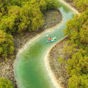 Guided Kayak Tour in the Reem Central Park Mangroves – Water Sports Guided Kayak Tour in the Reem Central Park Mangroves Water Sports