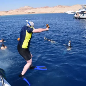 Half-day Snorkeling Boat trip with lunch and drinks from Sharm El Sheikh – Sightseeing and Tours Half-day Snorkeling Boat trip with lunch and drinks from Sharm El Sheikh Sightseeing and Tours