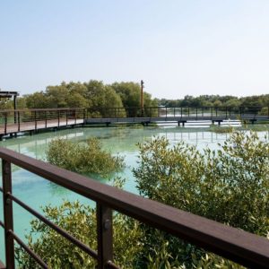 Jubail Mangrove Park – Boardwalk Experience – Recently Added Experiences Jubail Mangrove Park - Boardwalk Experience Recently Added Experiences