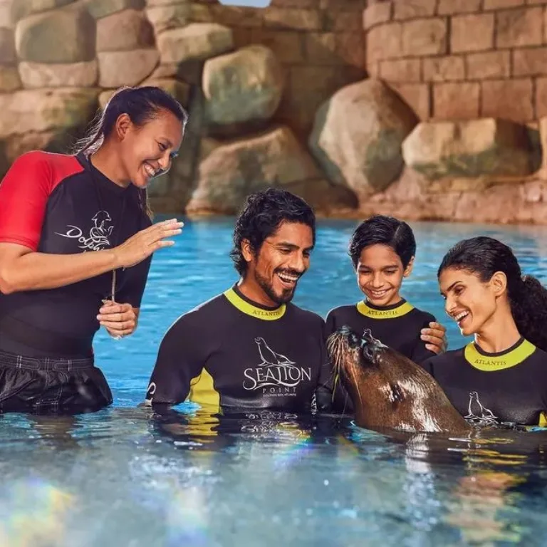 Sea Lion Experiences at Atlantis The Palm – Water Parks Sea Lion Experiences at Atlantis The Palm Water Parks
