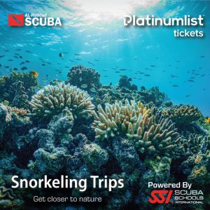 Snorkeling Daily Trips in Jeddah – Attractions Special Offers Snorkeling Daily Trips in Jeddah Attractions Special Offers
