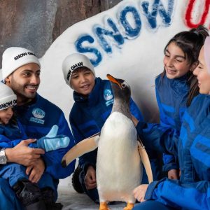 Snow Oman – Top-Rated Attractions Snow Oman Top-Rated Attractions