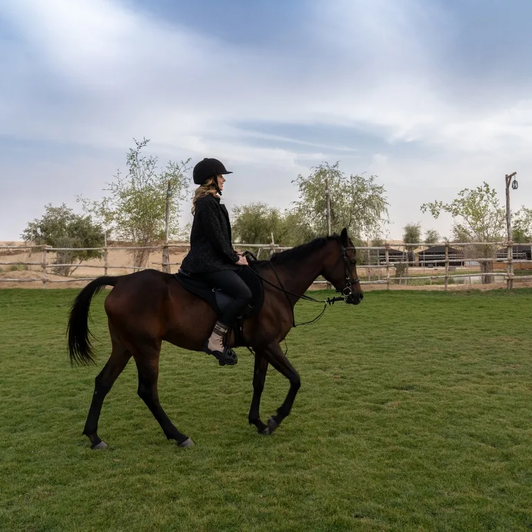 Sunset Horse Riding at Al Marmoom Oasis with a 6-Course Bedouin Dinner – Outdoor Attractions Sunset Horse Riding at Al Marmoom Oasis with a 6-Course Bedouin Dinner Outdoor Attractions