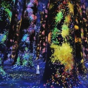TeamLab Phenomena + Qasr Al Watan – Combo – Recently Added Experiences TeamLab Phenomena + Qasr Al Watan - Combo Recently Added Experiences