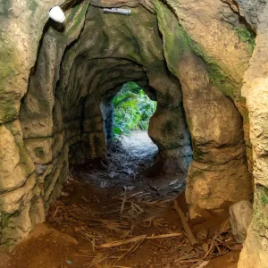Tropical Land – Top-Rated Attractions Tropical Land Top-Rated Attractions