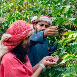 Hike with a local coffee farmer – Recently Added Experiences Hike with a local coffee farmer Recently Added Experiences