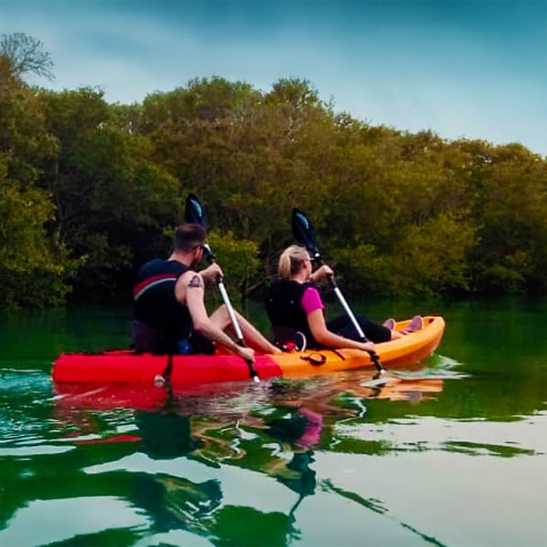 Mangroves Kayaking at Purple Island – Qool Qatar – Must-see attractions Mangroves Kayaking at Purple Island - Qool Qatar Must-see attractions