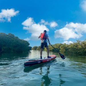 Mangroves paddleboarding at Purple Island – Qool Qatar – Must-see attractions Mangroves paddleboarding at Purple Island - Qool Qatar Must-see attractions