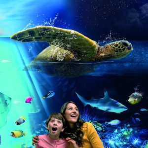 SEA LIFE Brighton – Recently Added Experiences SEA LIFE Brighton Recently Added Experiences