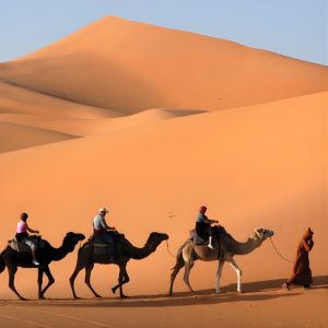 Camel Caravan at Kasbah Le Mirage & Spa – Sightseeing and Tours Camel Caravan at Kasbah Le Mirage & Spa Sightseeing and Tours