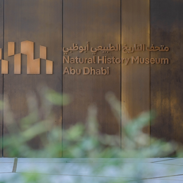 Natural History Museum Abu Dhabi (anyone under 18 years go free) – Museums Natural History Museum Abu Dhabi (anyone under 18 years go free) Museums