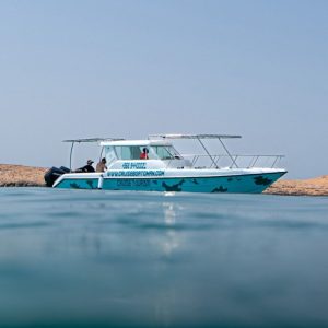 Daymaniyat Island Half Day Sharing Trip Boat Tours and Cruises