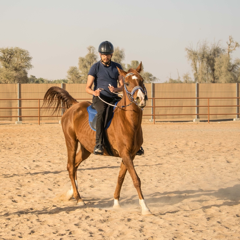 Horse Riding At Mleiha Arena – Sports Events Horse Riding At Mleiha Arena Sports Events