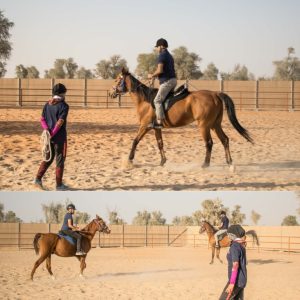 Horse Riding Training Course One Session – Sports Events Horse Riding Training Course One Session Sports Events