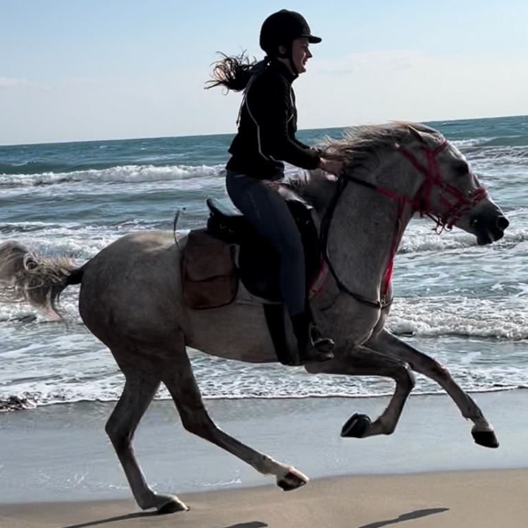 Horse Riding at Shahaniya – Qool Qatar – Must-see attractions Horse Riding at Shahaniya - Qool Qatar Must-see attractions