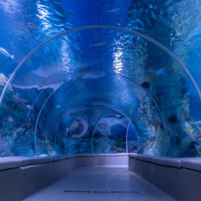 Istanbul Aquarium + Sky View + Sky Walk – Combo – Combos and more adventures Istanbul Aquarium + Sky View + Sky Walk - Combo Combos and more adventures