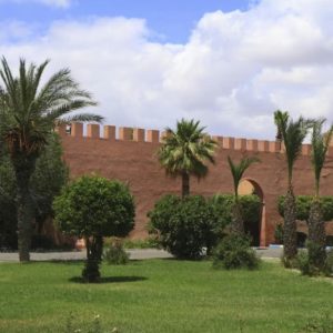 Marrakesh: Jardin Majorelle Guided Tour and Transfers – Must-see attractions Marrakesh: Jardin Majorelle Guided Tour and Transfers Must-see attractions