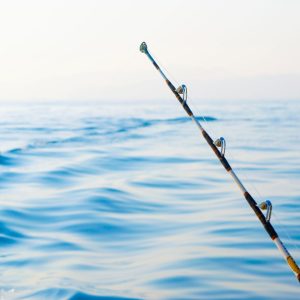Private fishing boat tour – Sightseeing and Tours Private fishing boat tour Sightseeing and Tours