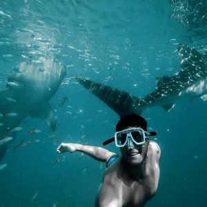 Private group Boating Experience with Dolphins Watching & Snorkeling – Sightseeing and Tours Private group Boating Experience with Dolphins Watching & Snorkeling Sightseeing and Tours