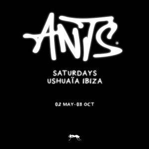 Ants in Ibiza Nightlife