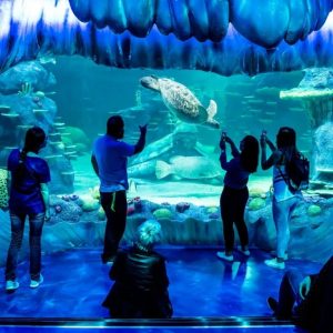 Aquarium de Paris: Entry Ticket – Indoor Attractions Aquarium de Paris: Entry Ticket Indoor Attractions