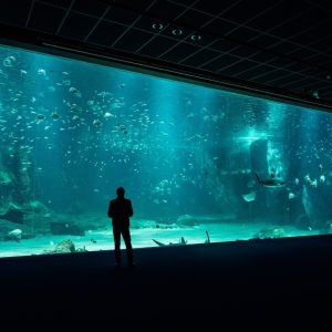 Barcelona Aquarium: Entry Ticket Outdoor Attractions