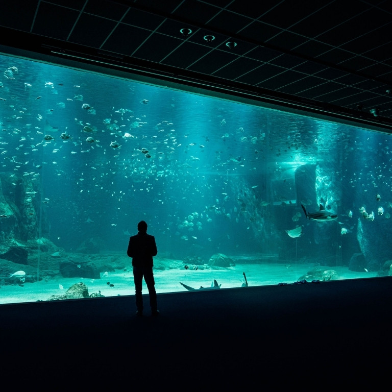 Barcelona Aquarium: Entry Ticket – Outdoor Attractions Barcelona Aquarium: Entry Ticket Outdoor Attractions
