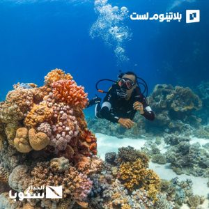 Try Scuba Diving in Jeddah – Water Sports Try Scuba Diving in Jeddah Water Sports