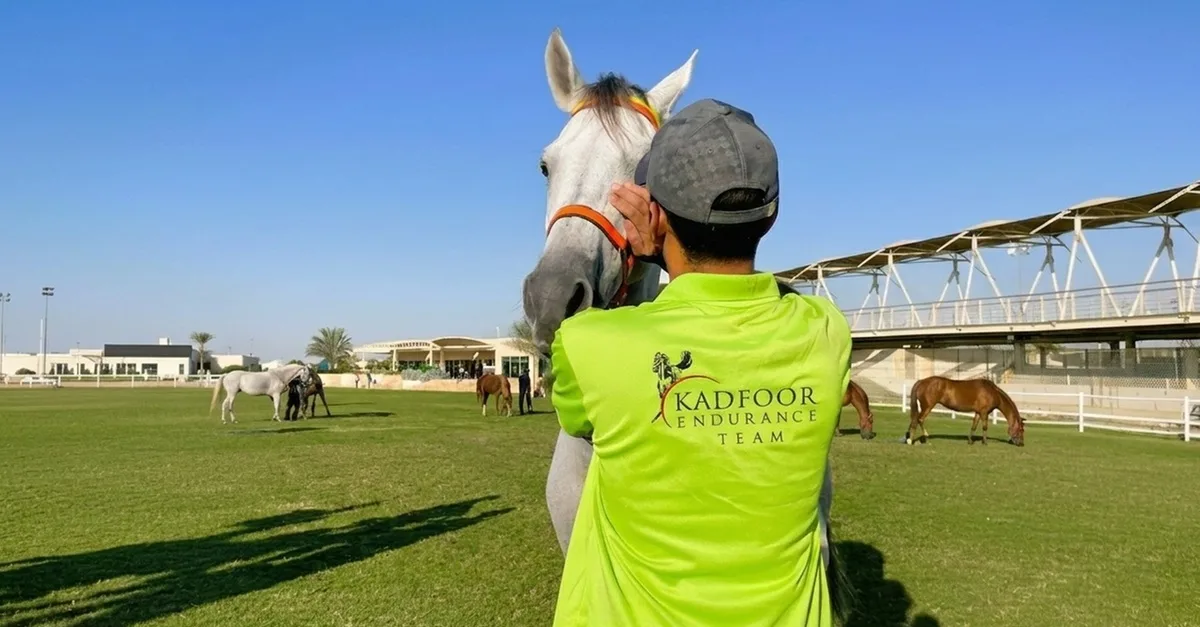 45-min Horse Riding Lessons For All Levels: Build Confidence & Skill in Dubai | Dubai Travel Tours Dubai