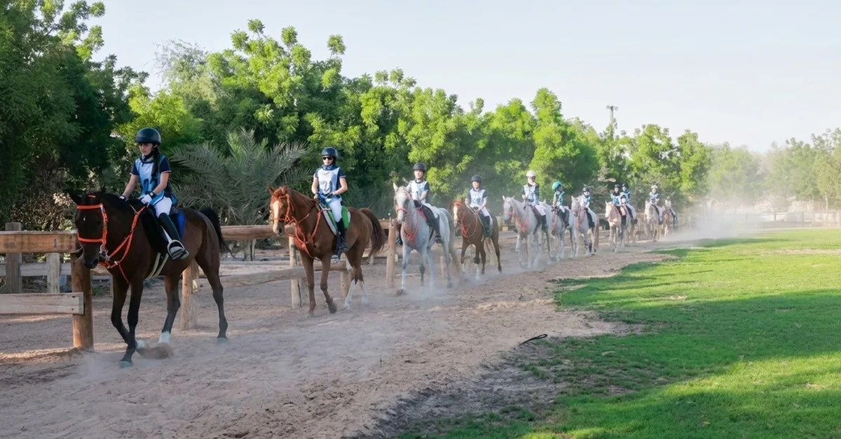 45-min Horse Riding Lessons For All Levels: Build Confidence & Skill in Dubai | Dubai Travel Tours 45-min Horse Riding Lessons For All Levels: Build Confidence & Skill in Dubai | Dubai Travel Tours - Image 4