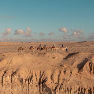 Camel Ride at Le Ranch des Dunes, Dakhla – Must-see attractions Camel Ride at Le Ranch des Dunes