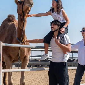 Camelicious Farm And Factory Tour With Camel Milk Tasting in Dubai | Dubai Travel Tours Camelicious Farm And Factory Tour With Camel Milk Tasting at Camelicious