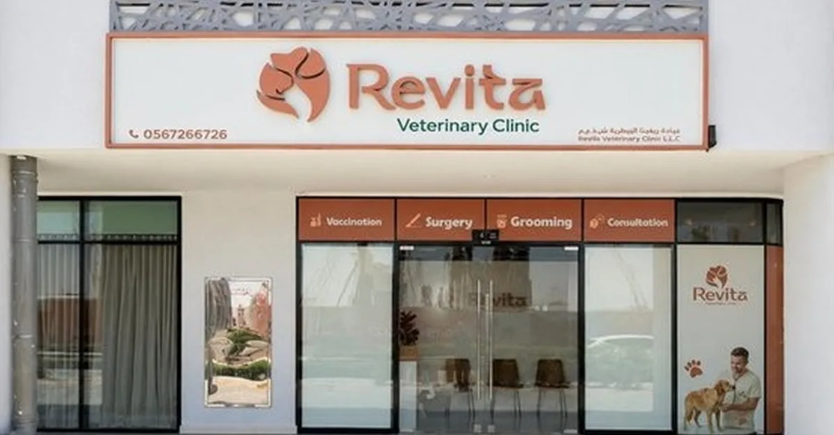 Cat & Dog Grooming: Basic Or Full For All Sizes in Dubai | Dubai Travel Tours Cat & Dog Grooming: Basic Or Full For All Sizes at Revita Vet Clinic