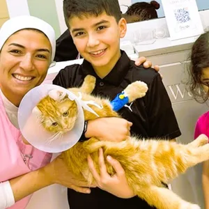 Cat Or Dog Consultation, Deworming, And Optional Annual Vaccine in Dubai | Dubai Travel Tours Cat Or Dog Consultation