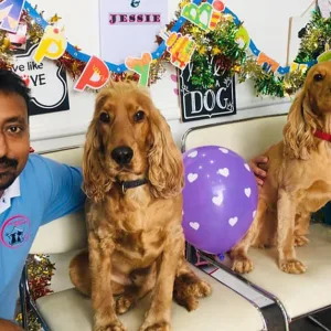 Comprehensive Grooming For All Sizes(xl,l,m,s) Of Dogs And Small Cats in Dubai | Dubai Travel Tours Comprehensive Grooming For All Sizes(xl
