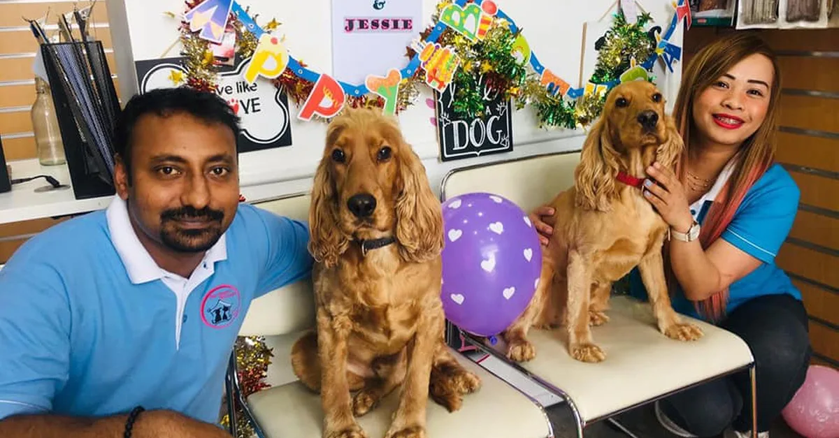 Comprehensive Grooming For All Sizes(xl,l,m,s) Of Dogs And Small Cats in Dubai | Dubai Travel Tours Comprehensive Grooming For All Sizes(xl