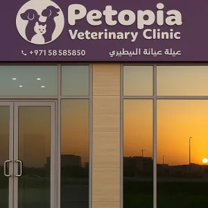 Comprehensive Pet Grooming For Cats And Dogs Up To 40 Kg in Dubai | Dubai Travel Tours Comprehensive Pet Grooming For Cats And Dogs Up To 40 Kg at Petopia Veterinary Clinic