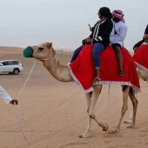 Desert Safari Adventure With… in Dubai | Dubai Travel Tours Desert Safari Adventure With… at Oasis Palm Tourism LLC