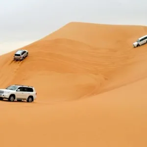 Desert Safari