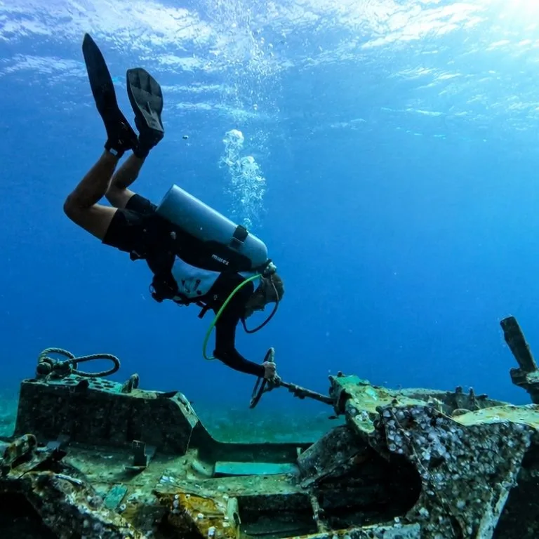 Discovery Scuba Diving (Beginner Dive) – Shows and Theatrical Plays Discovery Scuba Diving (Beginner Dive) Shows and Theatrical Plays