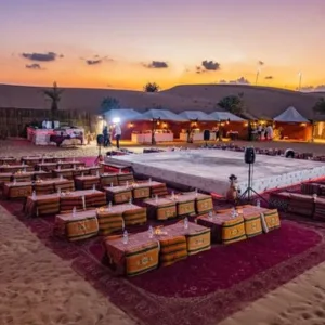 Dive Into Adventure: Vip Seating, 45-min Dune Bashing & Falcon Photo in Dubai | Dubai Travel Tours Dive Into Adventure: Vip Seating