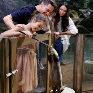 Double The Fun: Dubai Aquarium W Penguin Cove + Choice Of Attraction | Dubai Travel Tours Double The Fun: Dubai Aquarium W Penguin Cove + Choice Of Attraction at Peace Land Travel and Tourism