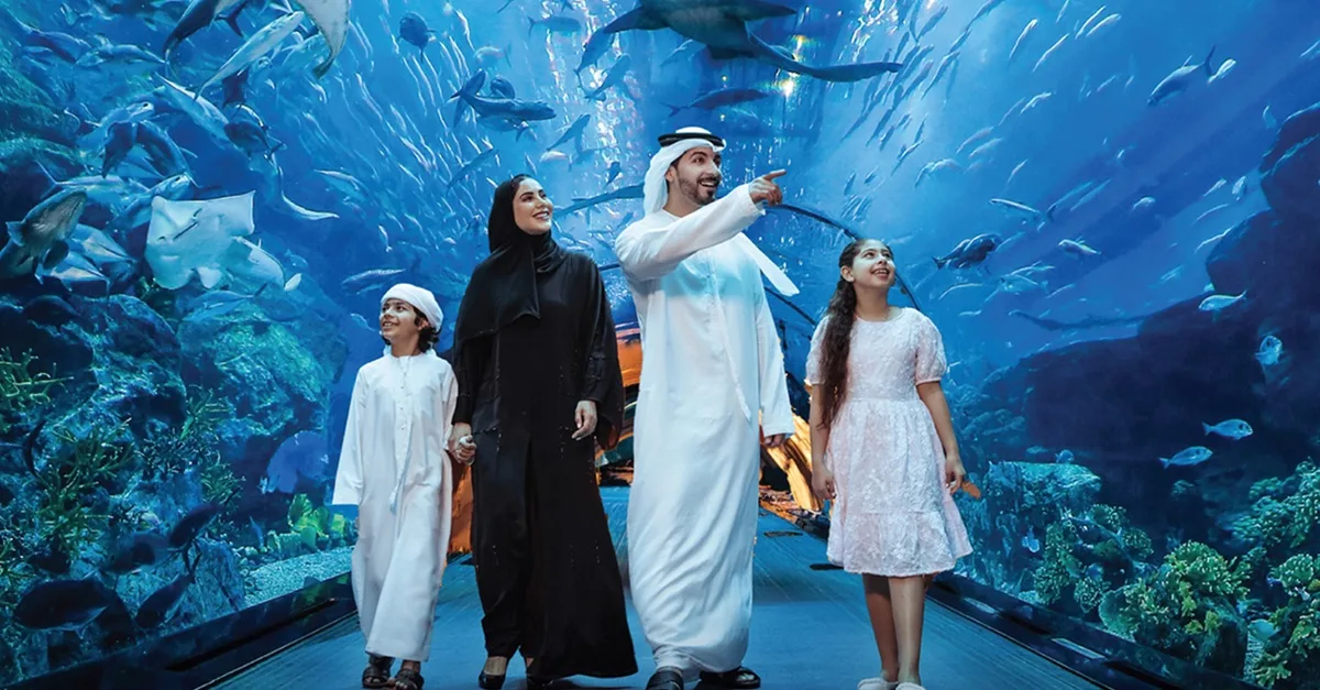 Dubai Aquarium And Dubai Frame Entry Tickets For 1, 2 Or 4 Adults | Dubai Travel Tours 2 Or 4 Adults at Peace Land Travel and Tourism