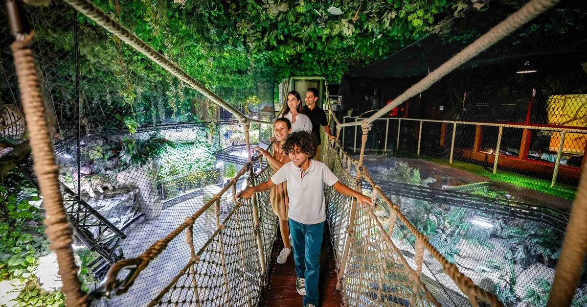 Dubai Aquarium And Dubai Frame Entry Tickets For 1, 2 Or 4 Adults | Dubai Travel Tours Dubai