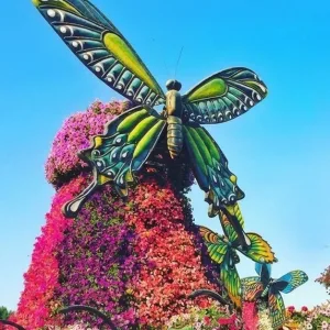 Dubai Butterfly Garden Entry Ticket For One, Two, Or Three Adults | Dubai Travel Tours Dubai Butterfly Garden Entry Ticket For One