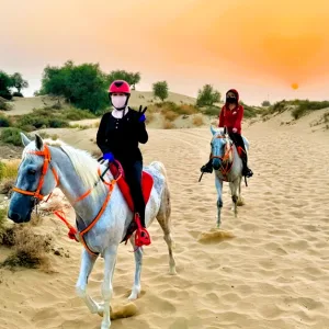 Enjoy Pony Hacking Or Horse Desert Hacking Experience at Kadfoor Stables