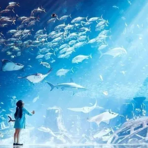 Entry Tickets To Explore The Lost World Aquarium At Atlantis in National Deal | Dubai Travel Tours Entry Tickets To Explore The Lost World Aquarium At Atlantis at Pt Tourism
