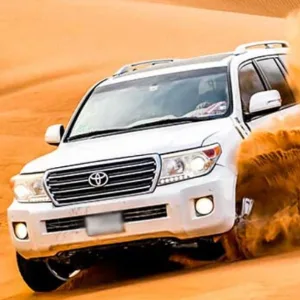 Evening Desert Safari For Up To Six People At Desert Lion Tourism at Desert Lion Tourism
