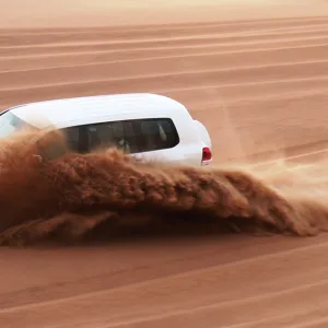 Evening Desert Safari With Bbq Buffet Dinner For Up To Four People at Luxury Tours